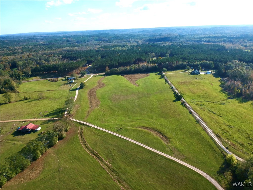 13567 Northside Road, Berry, Alabama image 1