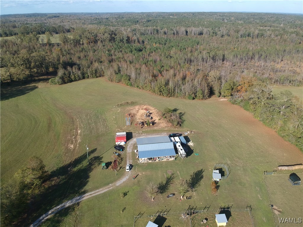 13567 Northside Road, Berry, Alabama image 8