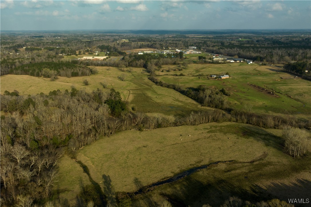 13567 Northside Road, Berry, Alabama image 4