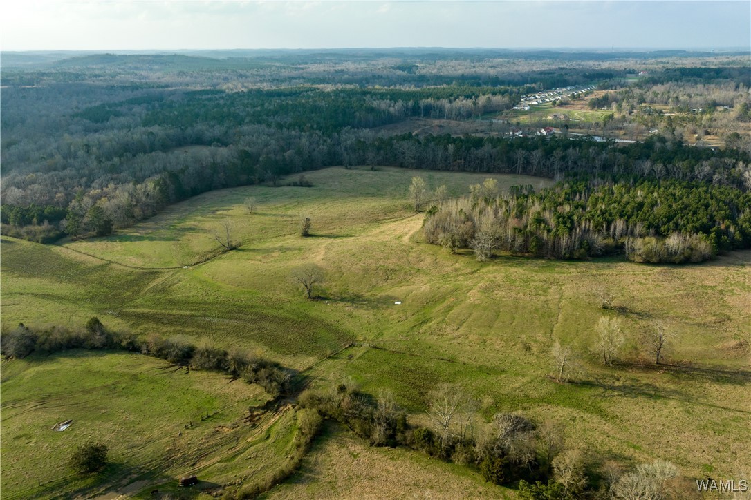 13567 Northside Road, Berry, Alabama image 5