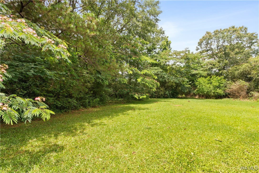 445 11th Street, Gordo, Alabama image 21