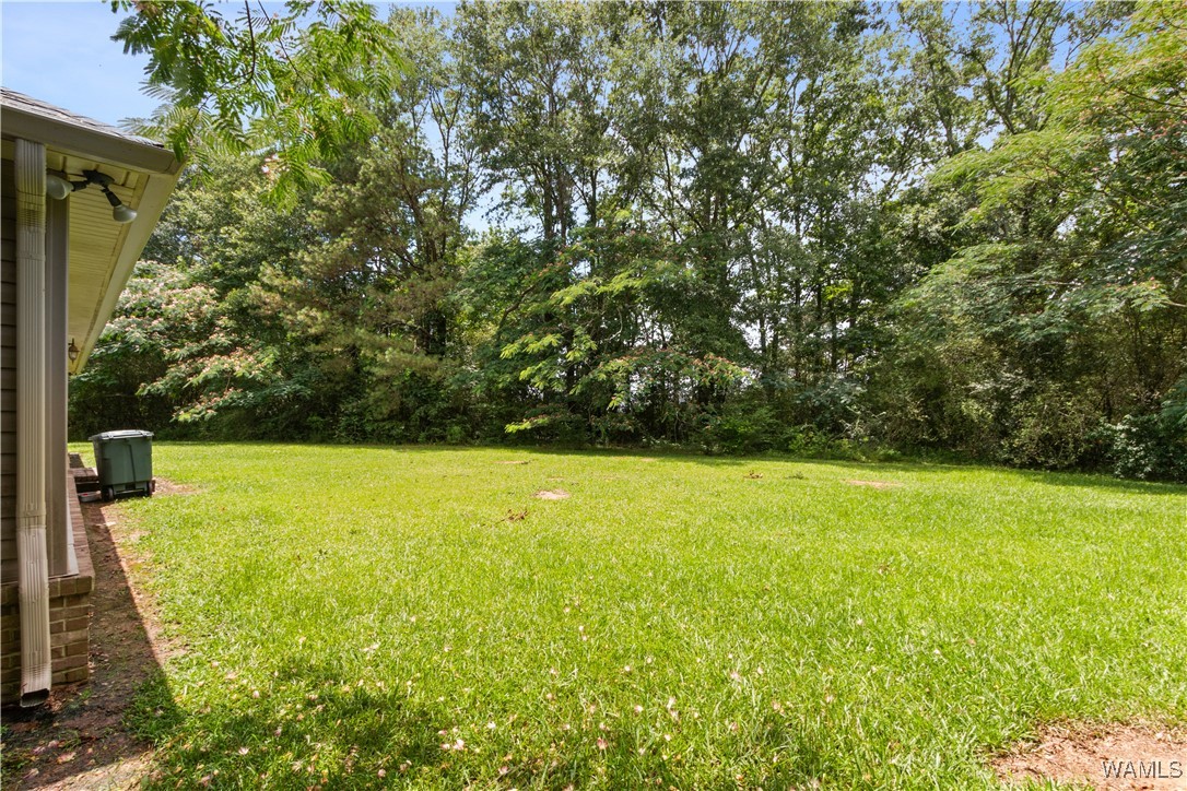 445 11th Street, Gordo, Alabama image 24