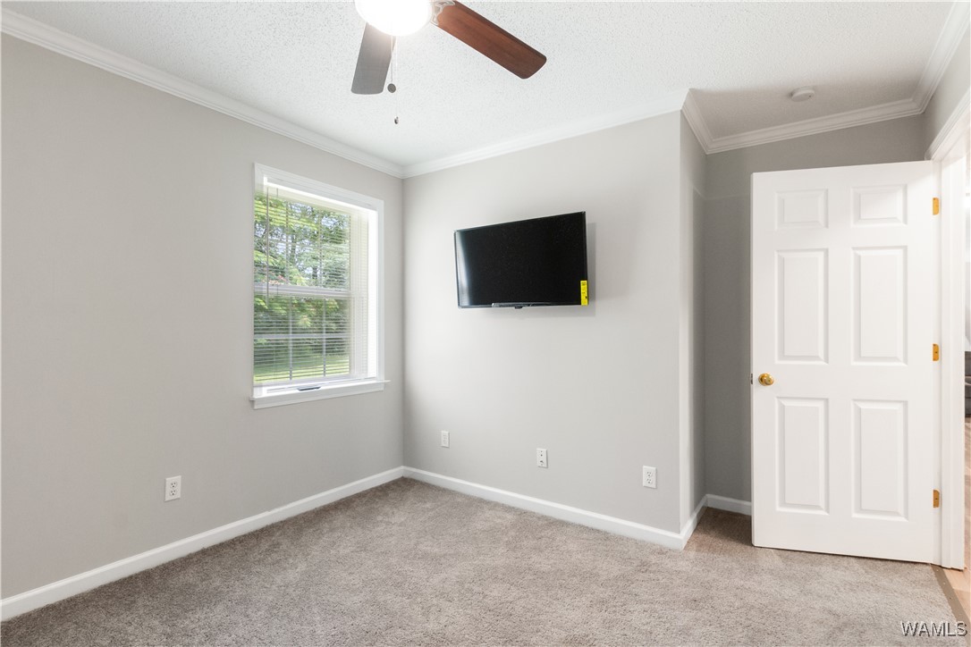 445 11th Street, Gordo, Alabama image 15