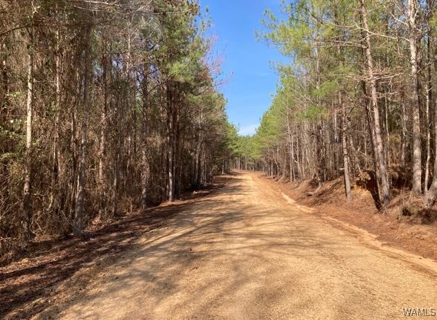 1 Tilly Branch Road, North Port, Alabama image 2