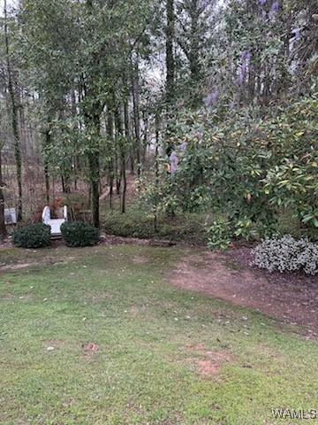 12631 Lakeland Hills Drive, North Port, Alabama image 35