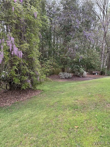 12631 Lakeland Hills Drive, North Port, Alabama image 33