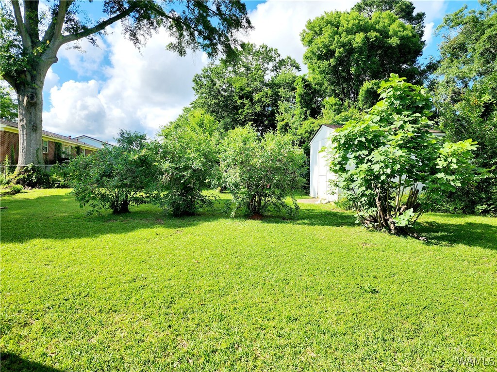 3008 46th Street, Tuscaloosa, Alabama image 35