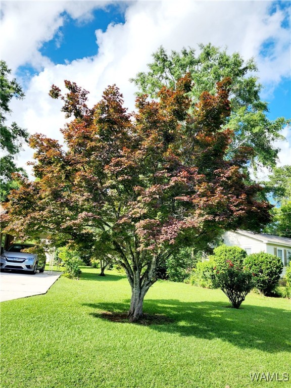 3008 46th Street, Tuscaloosa, Alabama image 50