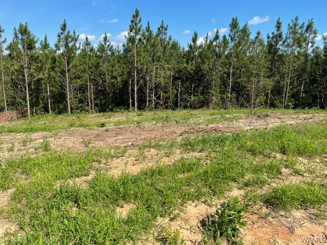 Lot 5 Longleaf