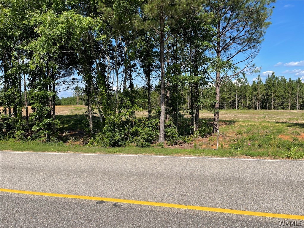Lot 5 Longleaf