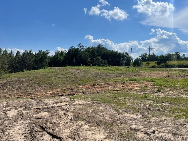 Lot 5 Longleaf