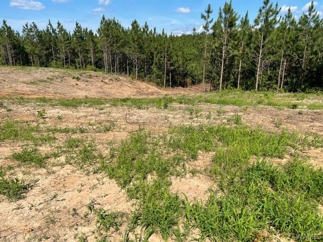 Lot 5 Longleaf