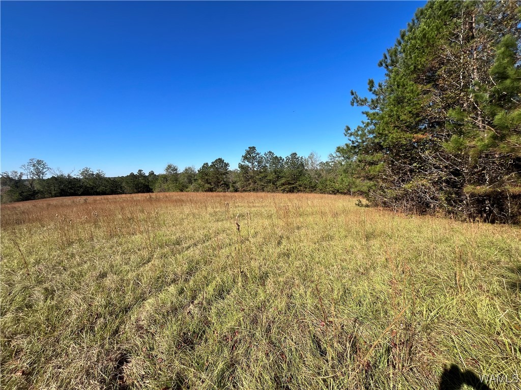 11111 County Road 191, Knoxville, Alabama image 3