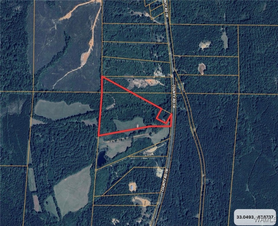11111 County Road 191, Knoxville, Alabama image 5