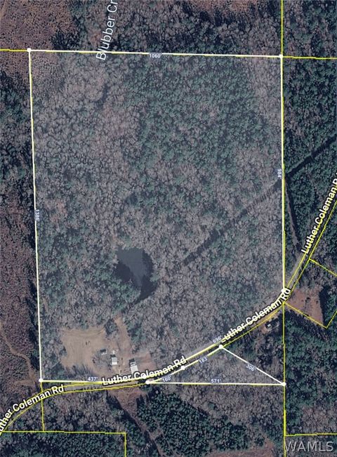 Vacant Land For Sale - 1362 Duncan Road<br/> Pickens County, Carrollton, AL 35447