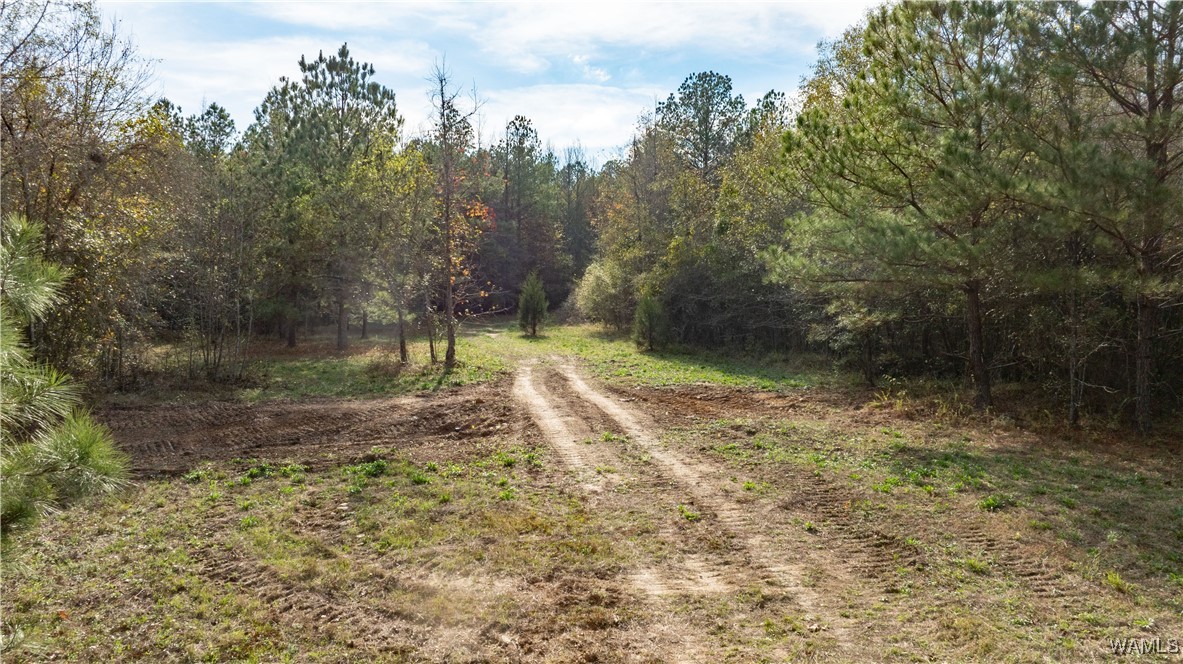 00 Al-171 Road, Fayette, Alabama image 4