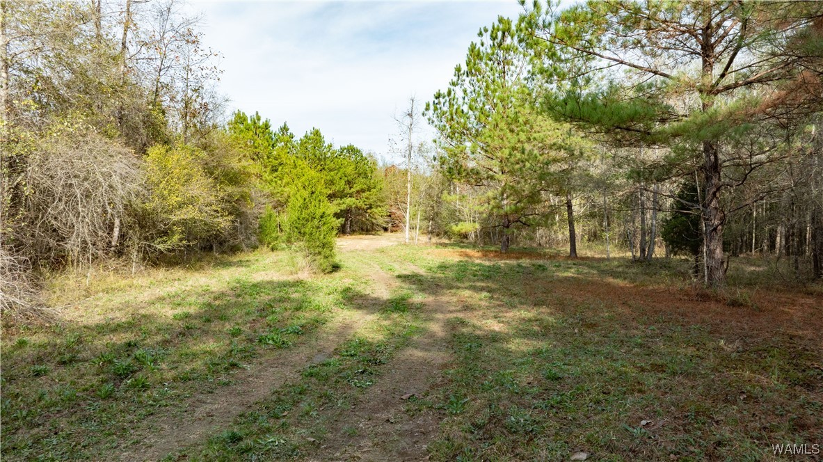 00 Al-171 Road, Fayette, Alabama image 34