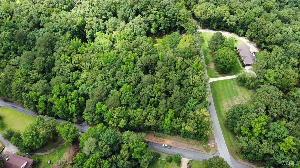 11869 Knollwood Road Rd, North Port, Alabama image 4