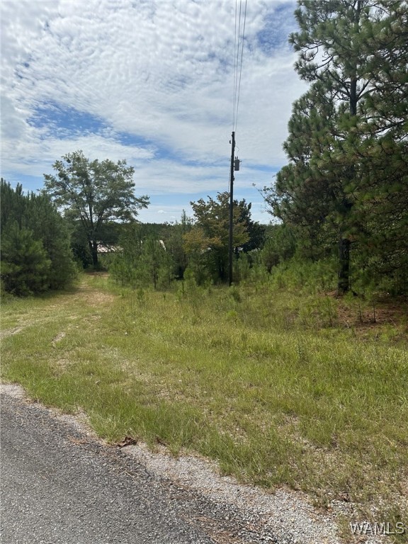 2644 County Road 81, Fayette, Alabama image 4