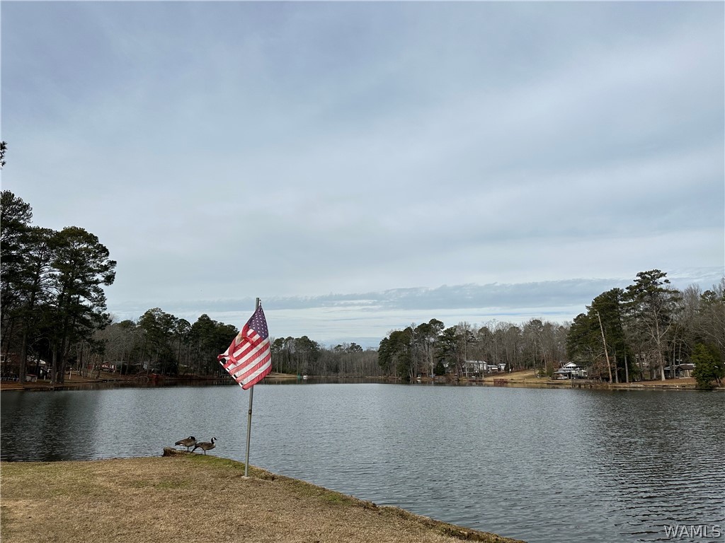 14408 Lake Wildwood Drive
