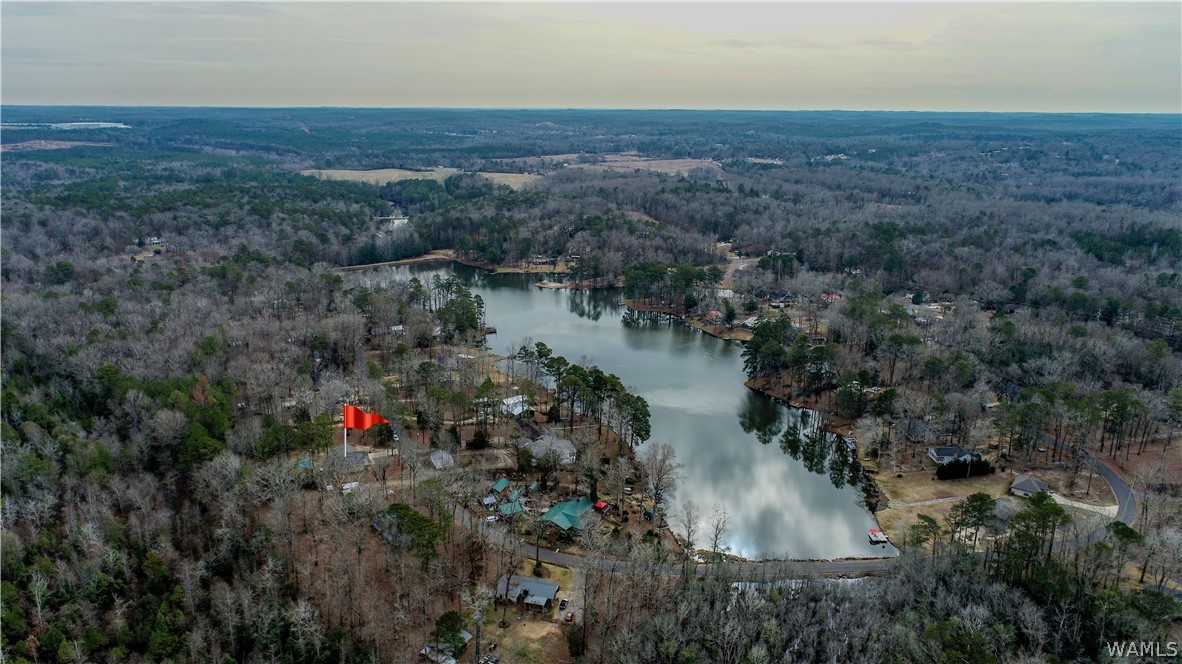 14408 Lake Wildwood Drive