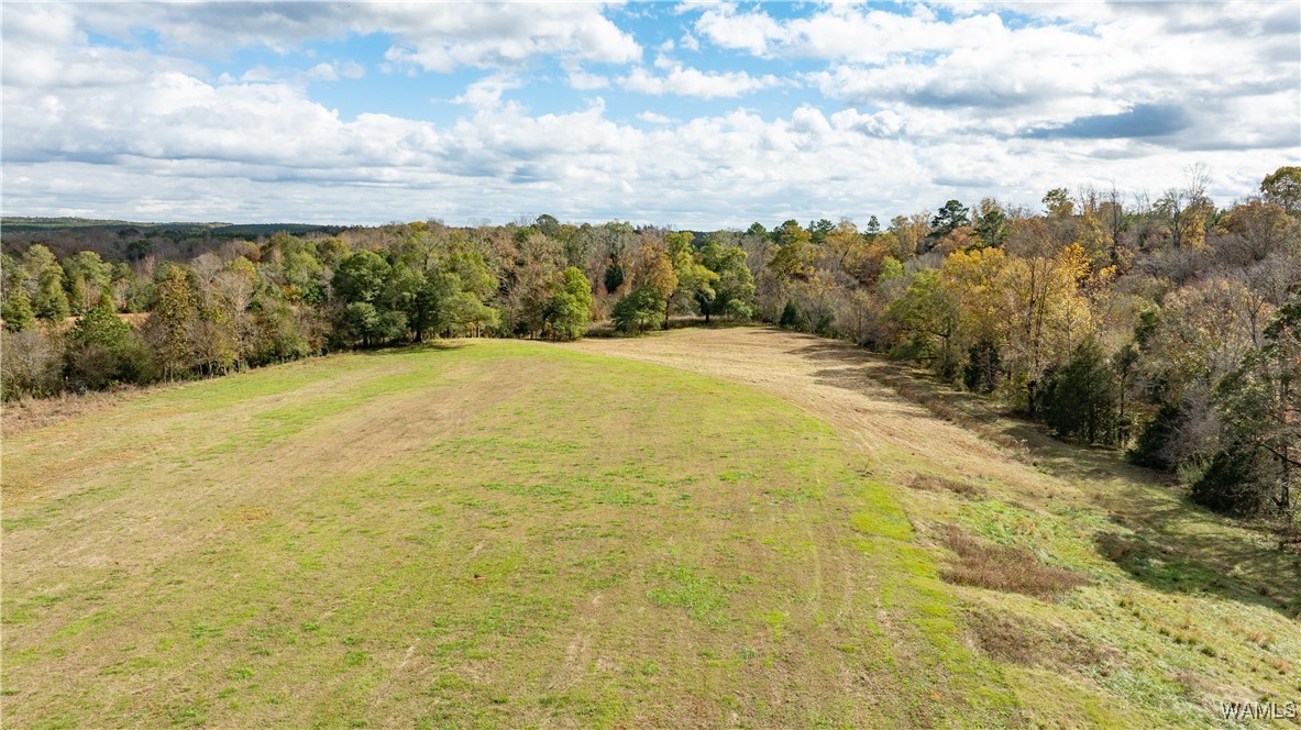 11808 Cripple Creek Road, Berry, Alabama image 7