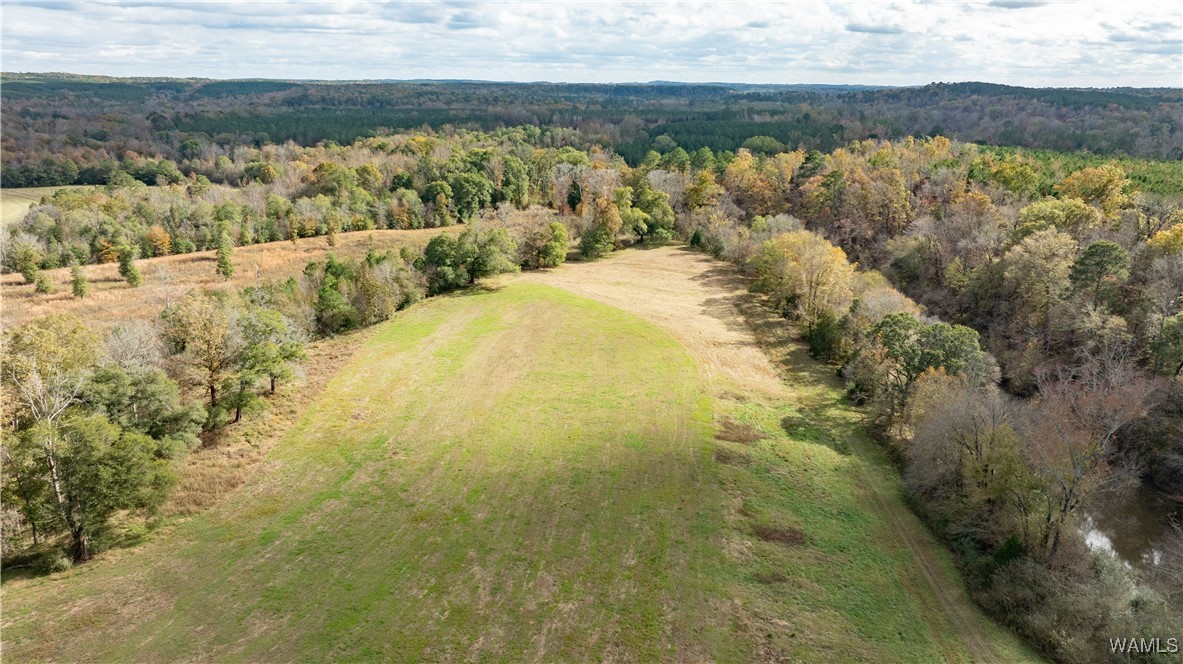 11808 Cripple Creek Road, Berry, Alabama image 8