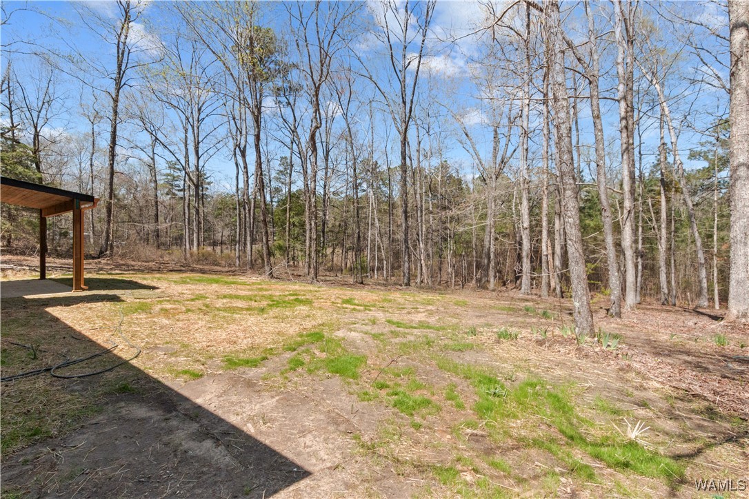 14201 Prewitt Loop Road, North Port, Alabama image 34