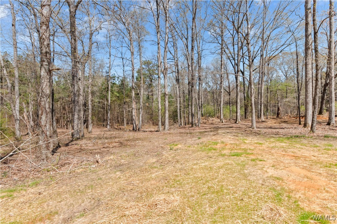 14201 Prewitt Loop Road, North Port, Alabama image 31