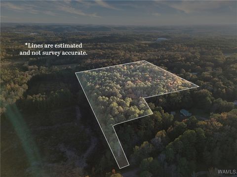 Vacant Land For Sale - Pleasant Way Drive<br/> Jasper, AL 35501