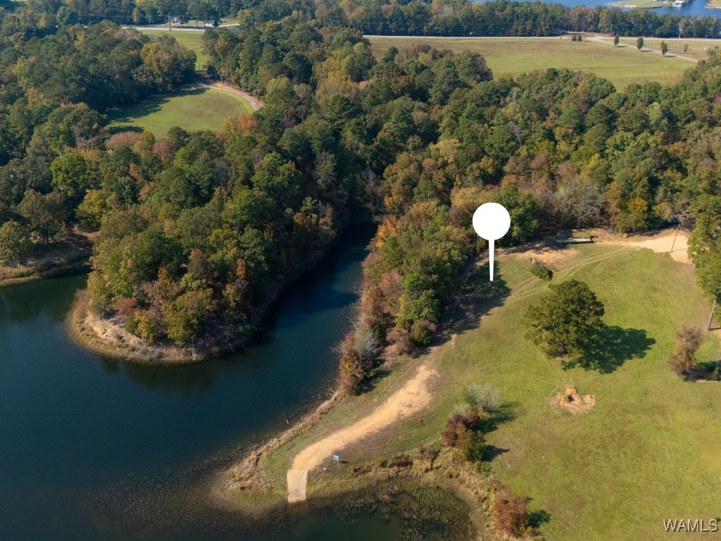 Herman Boyd Road, North Port, Alabama image 10