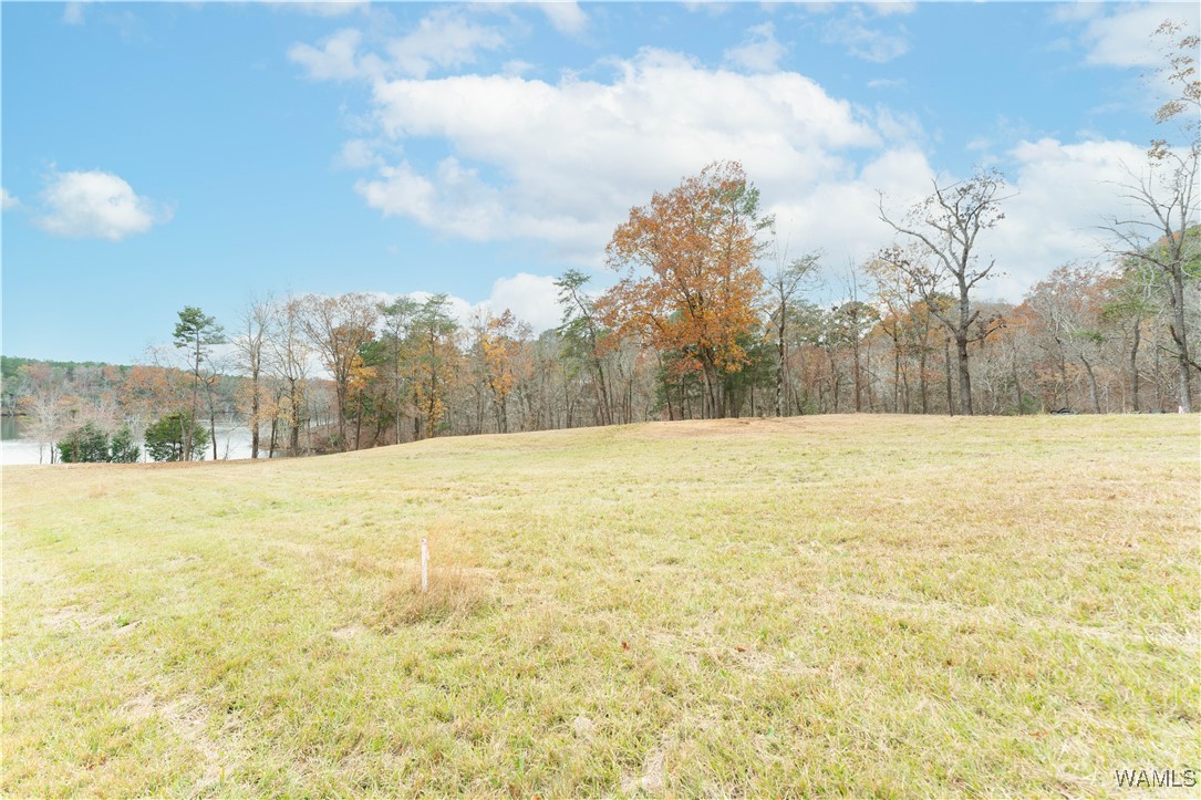 Herman Boyd Road, North Port, Alabama image 6