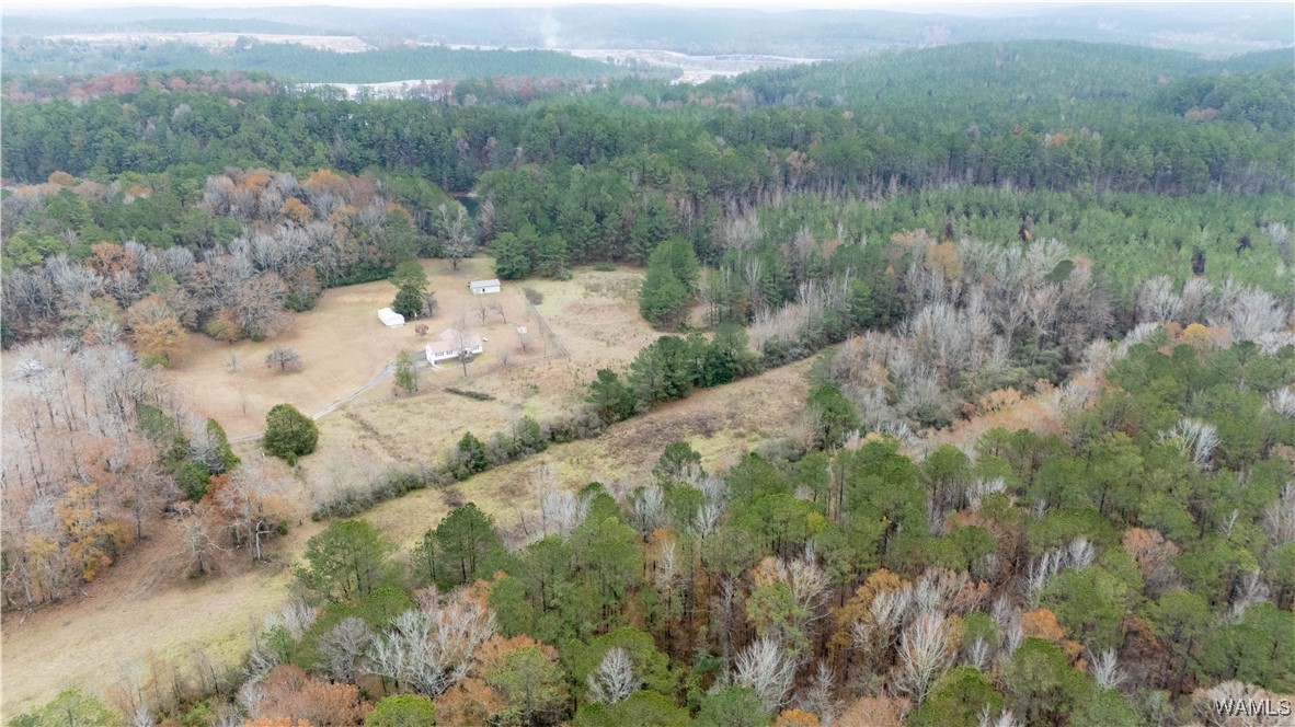 11643 Ray Carter Road, Vance, Alabama image 8