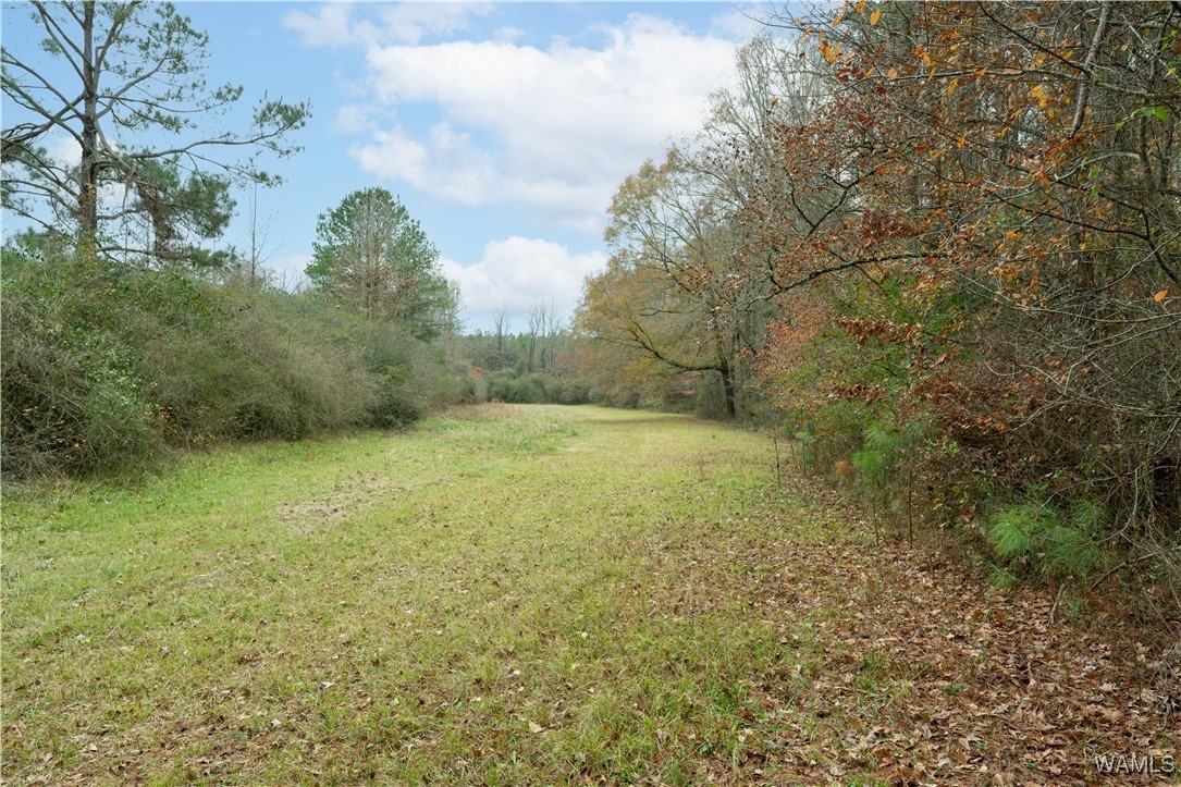 11643 Ray Carter Road, Vance, Alabama image 11