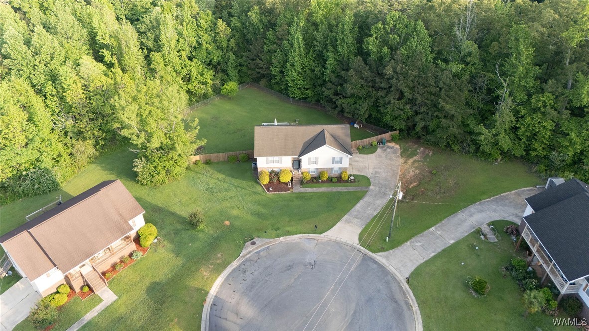 10483 Rolling Valley Drive, Cottondale, Alabama image 39