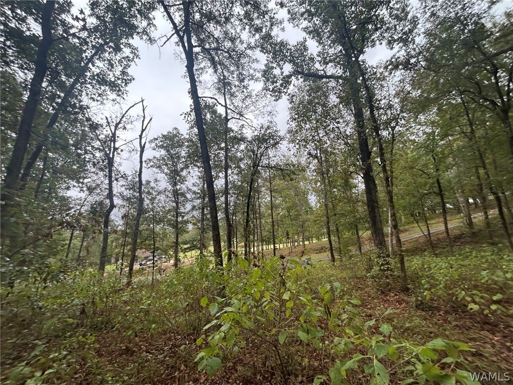46 TANGLEWOOD Circle
