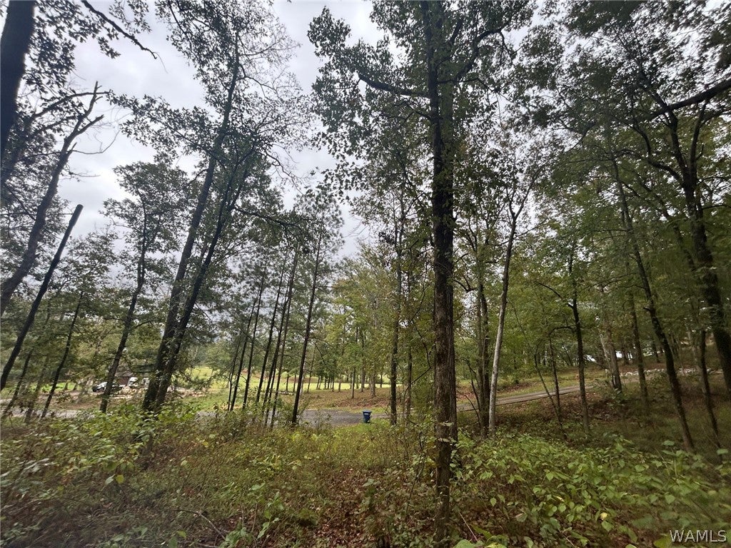 46 TANGLEWOOD Circle