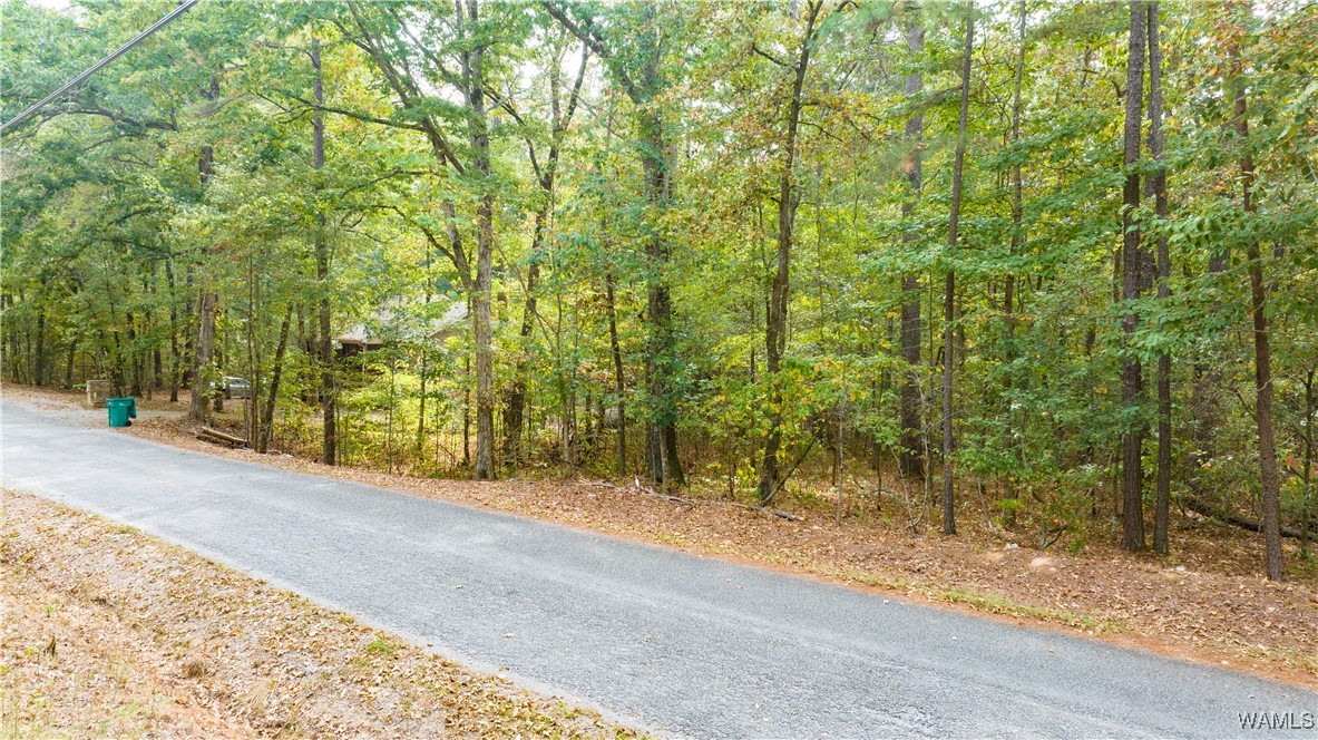 Teddy Drive, McCalla, Alabama image 25