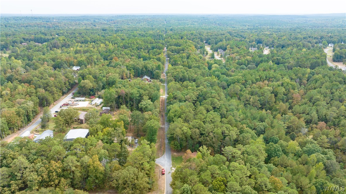 Teddy Drive, McCalla, Alabama image 9