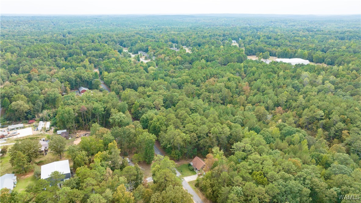 Teddy Drive, McCalla, Alabama image 10