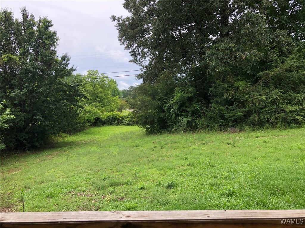 4832 Eastern Hills Ln Ln, Cottondale, Alabama image 16