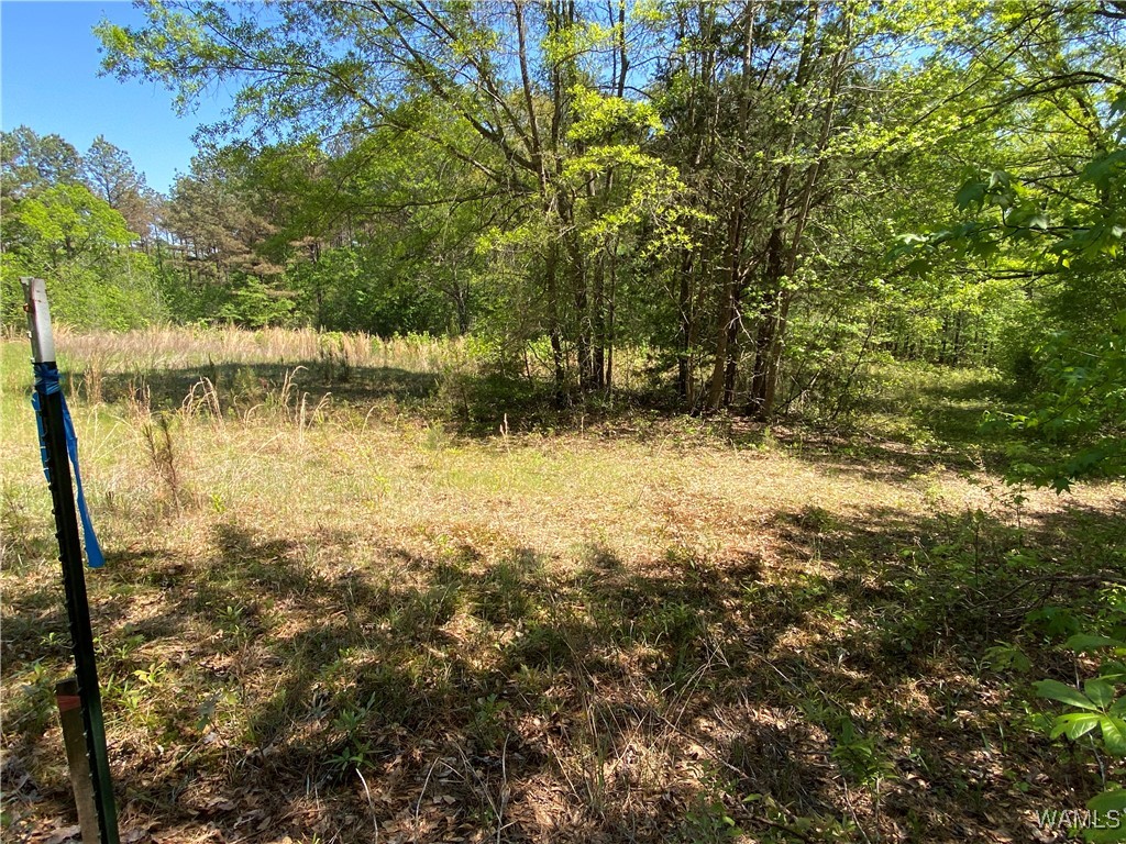 Vic Green Rd, North Port, Alabama image 8