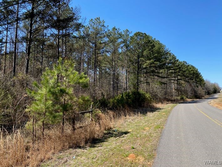 Vic Green Rd, North Port, Alabama image 3