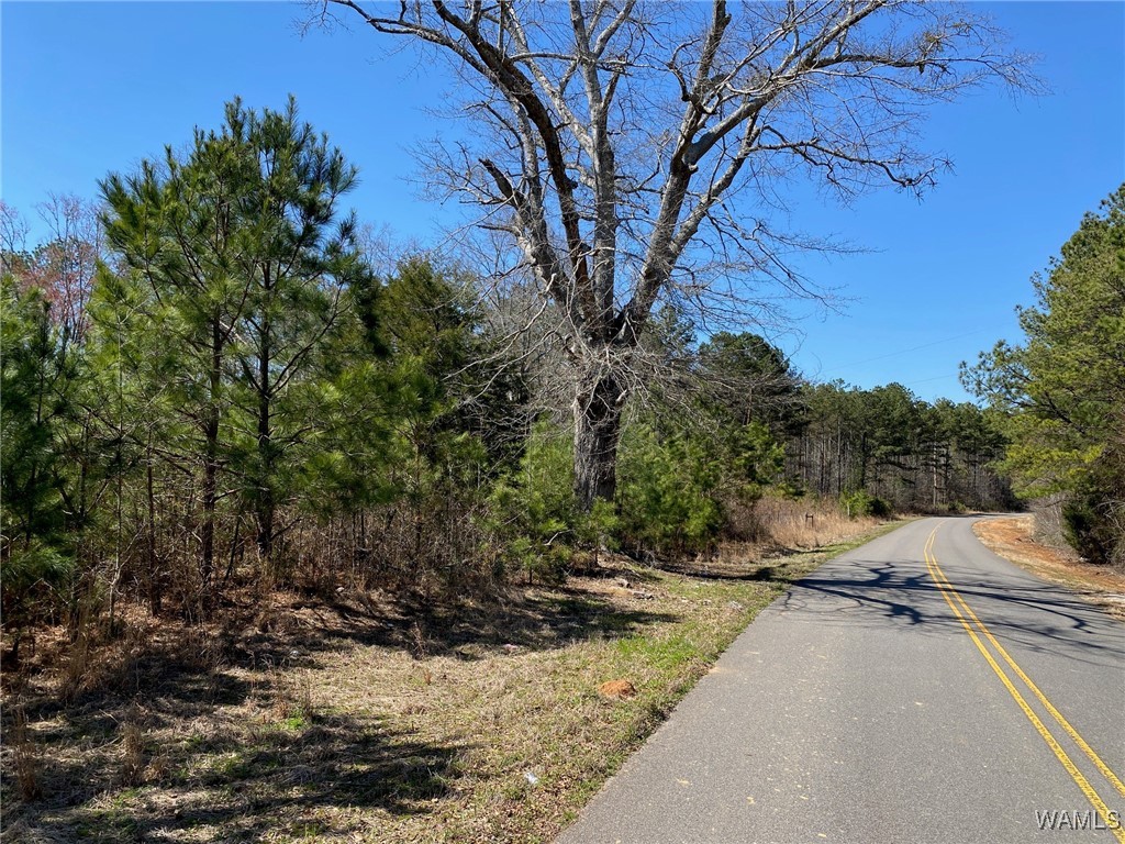 Vic Green Rd, North Port, Alabama image 1