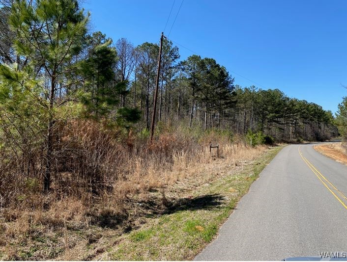 Vic Green Rd, North Port, Alabama image 2