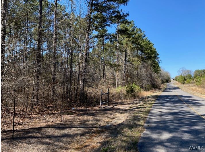 Vic Green Rd, North Port, Alabama image 4