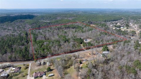 Vacant Land For Sale - 127 Toadvine Road<br/> Bessemer, AL 35023