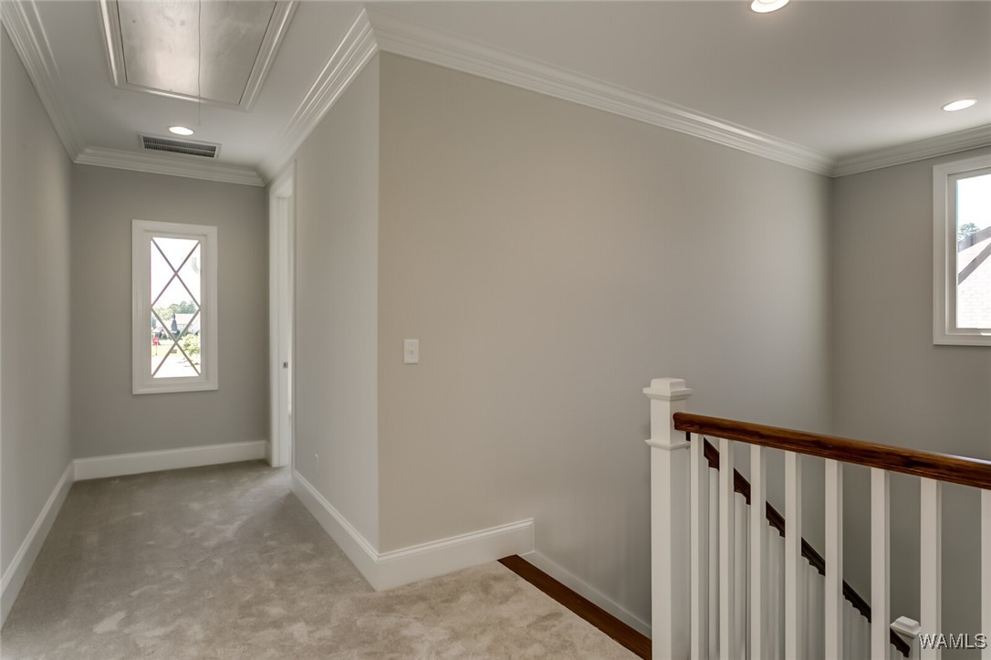 5380 Park Avenue, Tuscaloosa, Alabama image 44