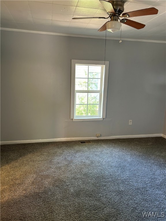 2511 11th Court, Tuscaloosa, Alabama image 7