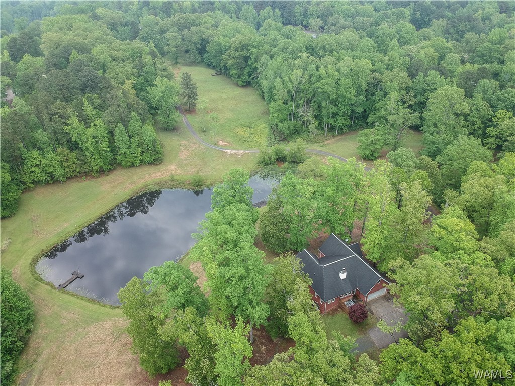 6905 Clements Foley Rd